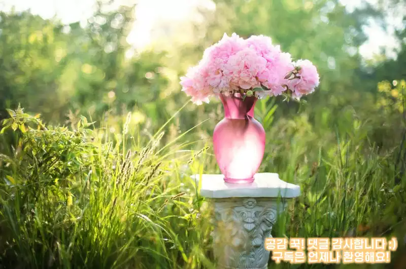 선물 받은 꽃 잘 보관하는 방법