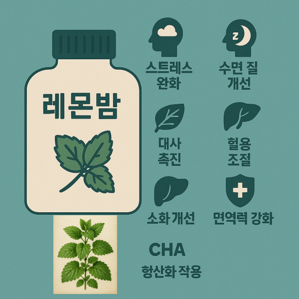 레몬밤 효능 총정리
