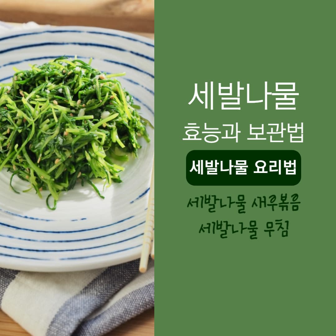세발나물 효능 보관 요리법