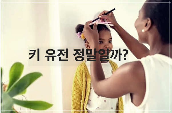 키 유전 정말일까?