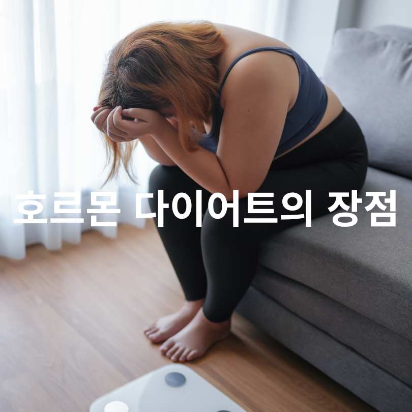 호르몬 다이어트 방법 완전 정복!