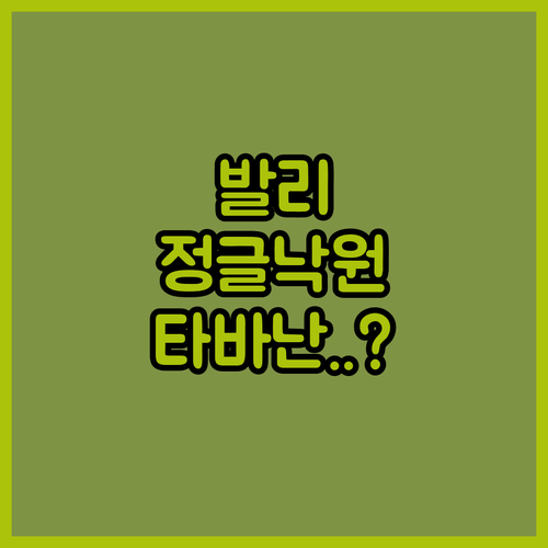 당신만 몰랐던 발리의 숨겨진 정글 낙..