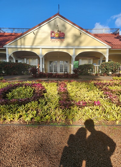 돌플랜테이션건물