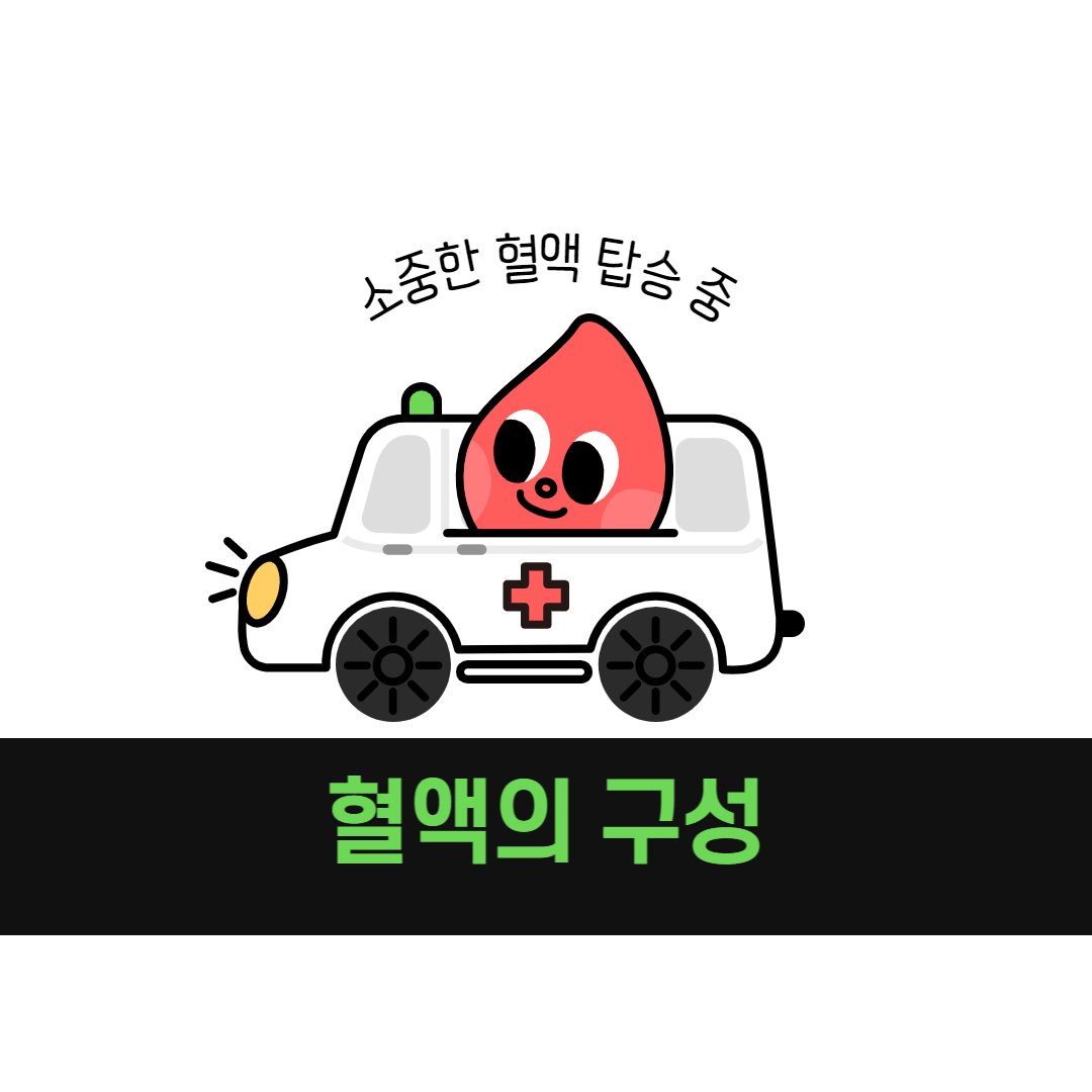 건강한 인체의 필수 조건 혈액에 대해 구성성분과 기능을 알아봅시다.