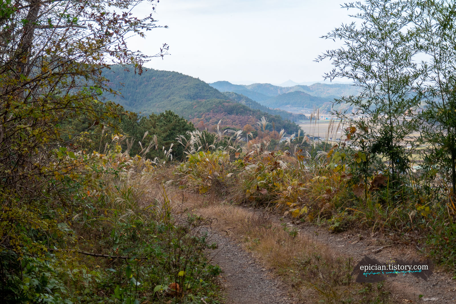 비포장 임도 너머로 산 아래가 내려다 보이는 풍경
