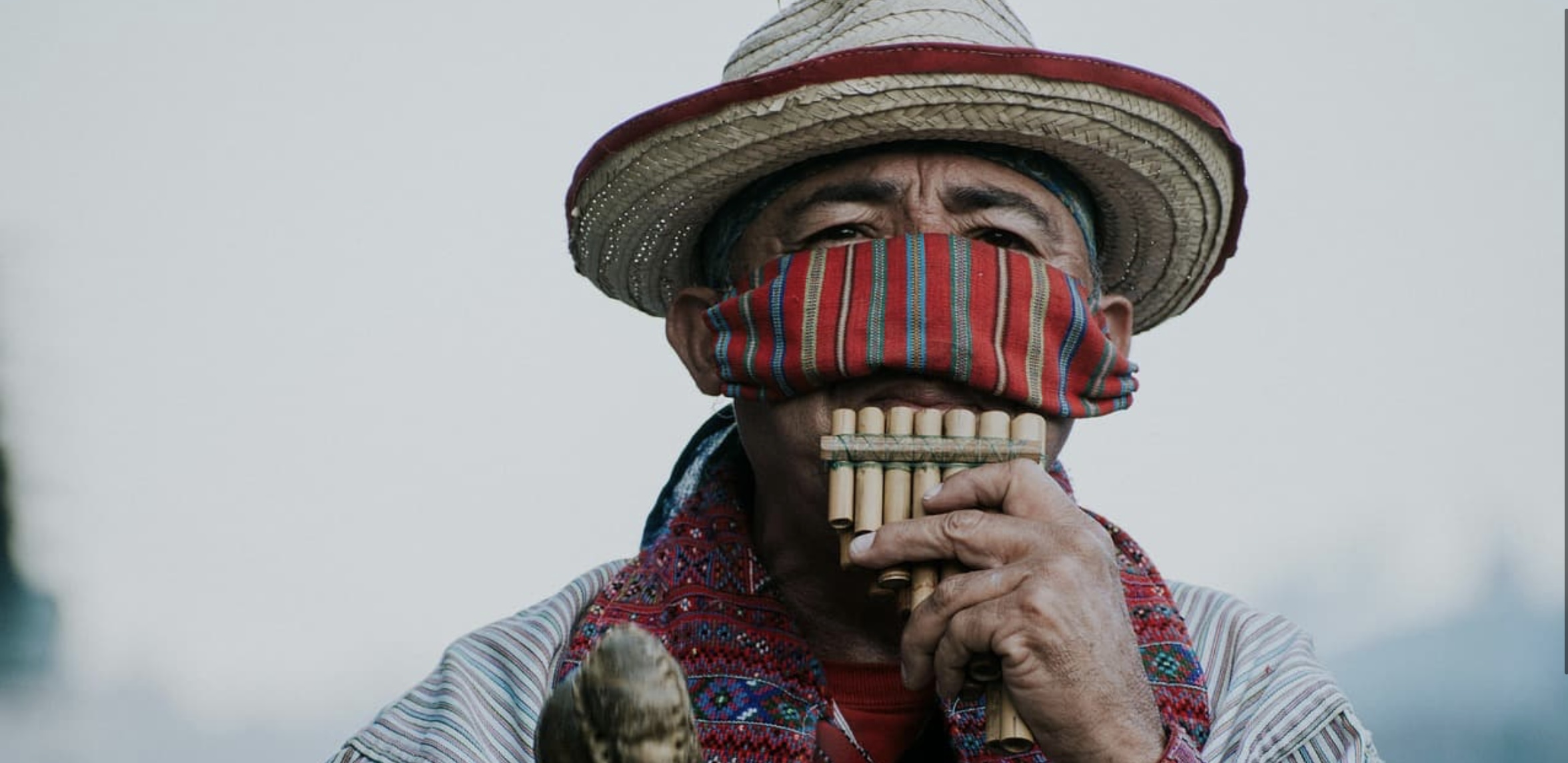 서양 현악기의 기원: 바이올린에서 리라까지