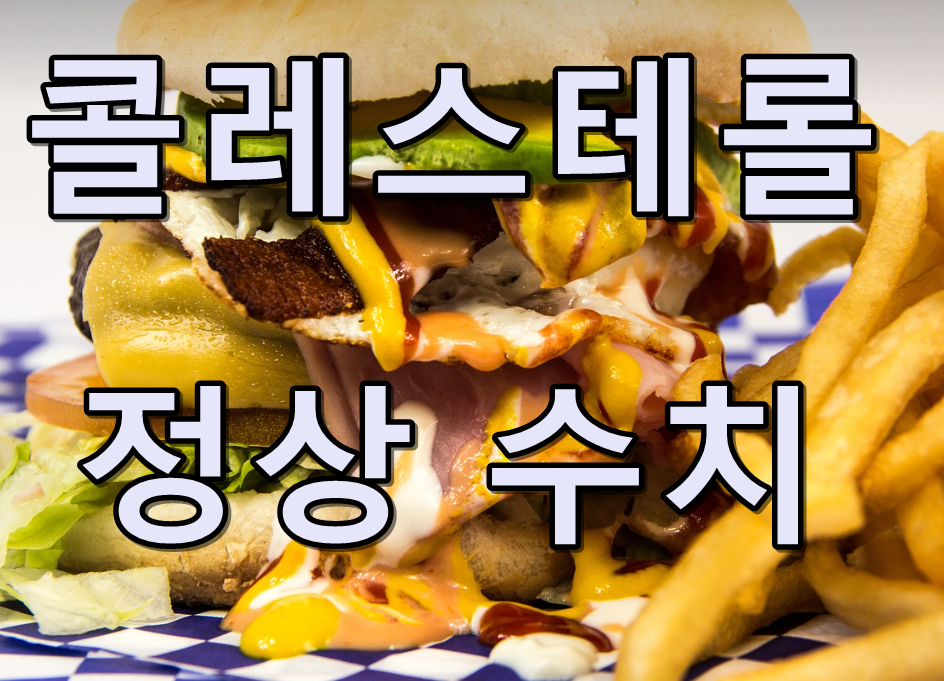 콜레스텔롤 정상 수치 텍스트 썸네일