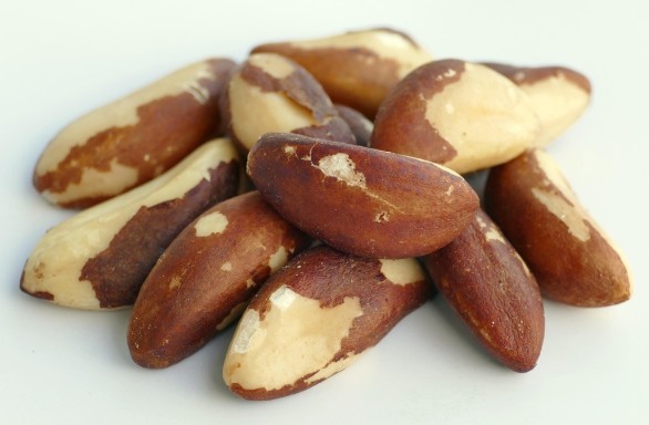 50세 이상 여성이 먹으면 좋은 몸속 염증 줄이는 음식 5가지