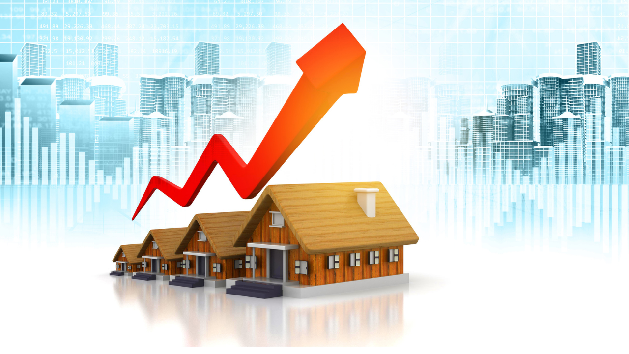 금리 인하 시그널