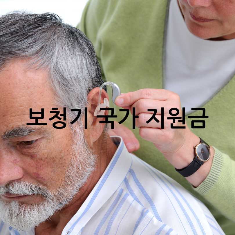 보청기 국가 보조금