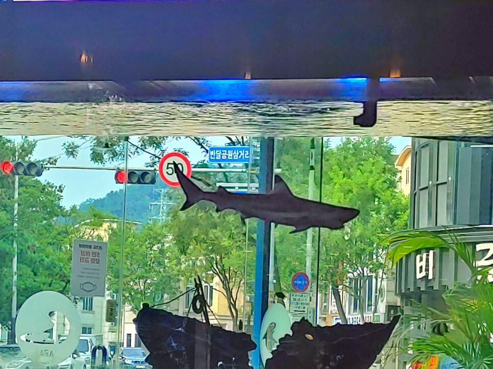 수원 영통역 수족관 카페아라