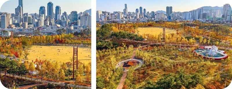 부산-시민공원-가을-노랑-빨강-단풍-절정-항공뷰