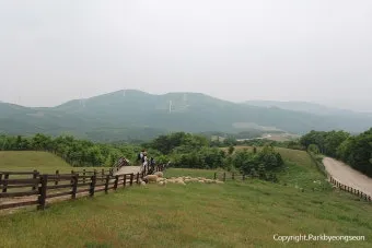 독서 초보 입문용 소설 10선_4