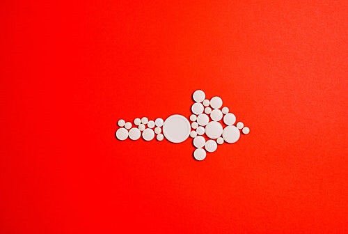 결론, 유산균(프로바이오틱스)가 머리에 좋은 이유 TOP 5