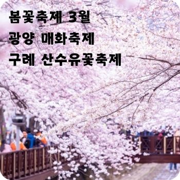 봄꽃축제 3월 광양 매화축제 구례 산수유꽃축제