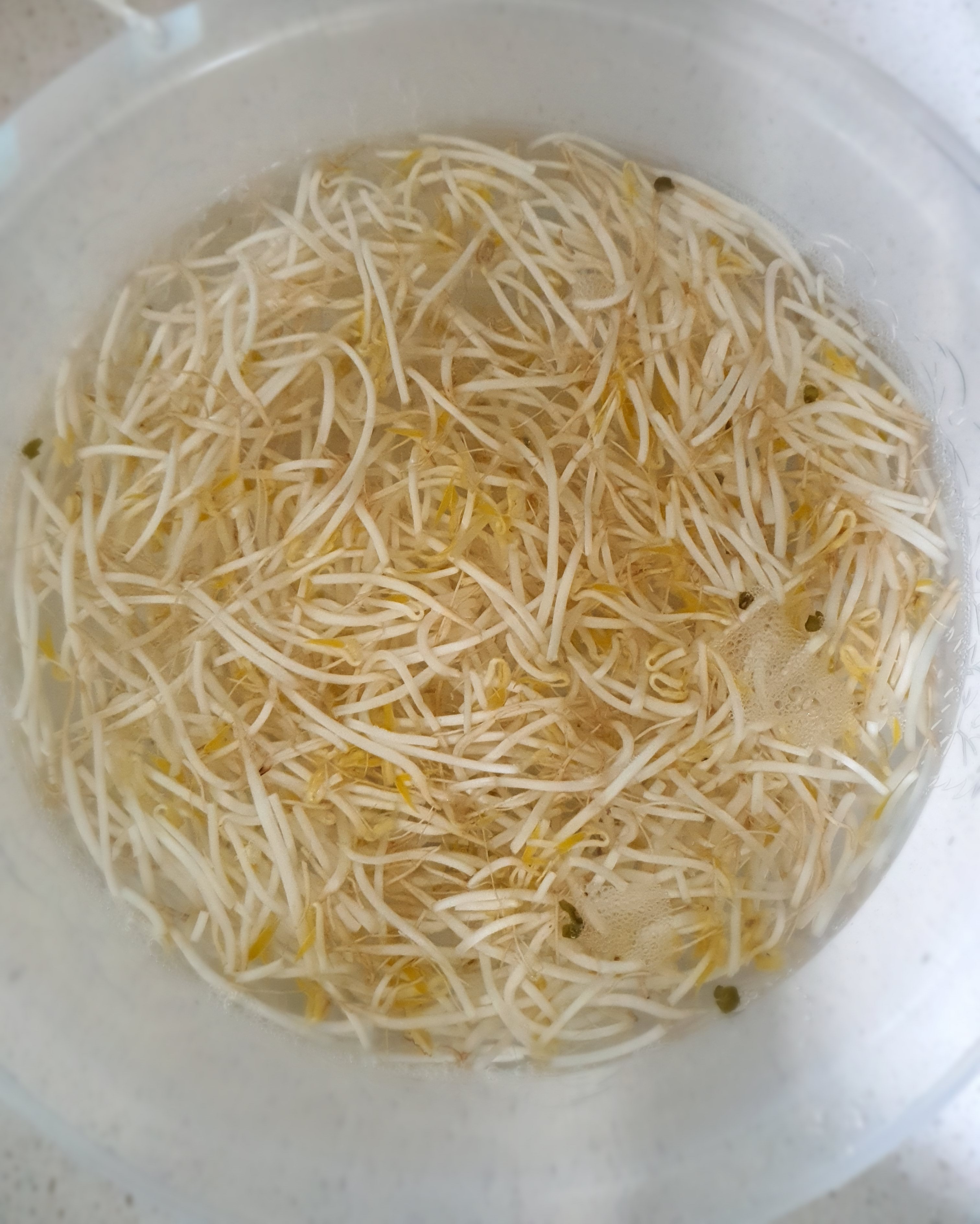 야채를-씻느라고-바빴어요.