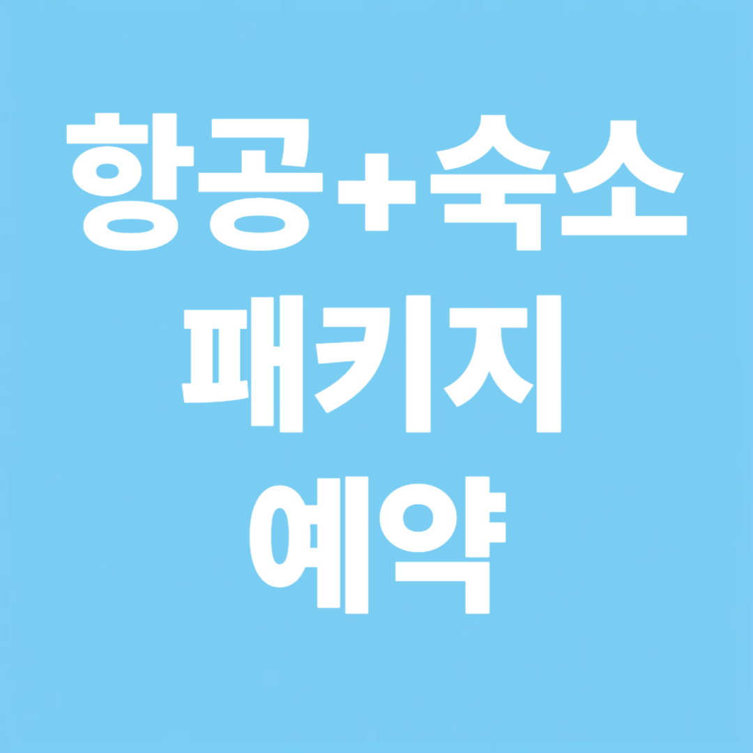 하나투어 패키지 예약