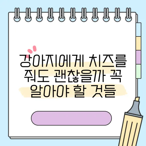 강아지에게 치즈를 줘도 괜찮을까 꼭 알아야 할 것들