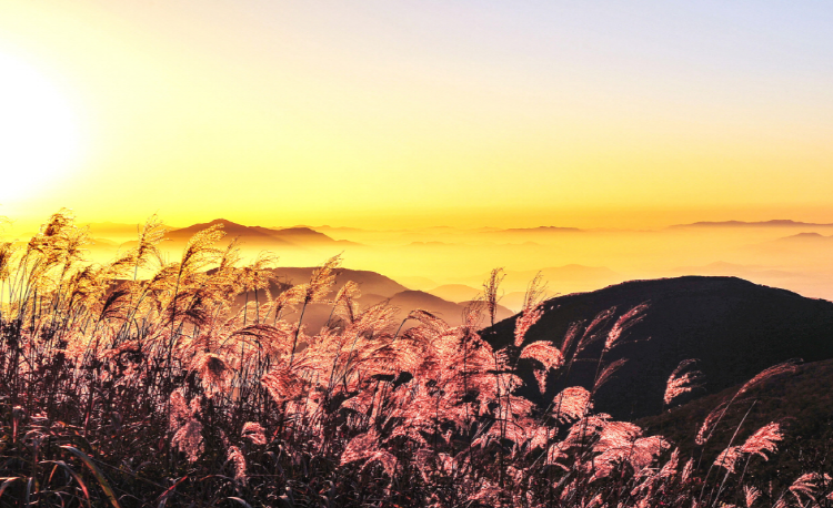 무등산 등산코스 지도