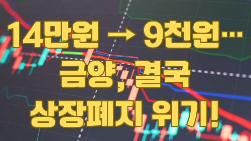 14만원 → 9천원… 금양, 결국 상장폐지 위기! 투자자들 '멘붕'