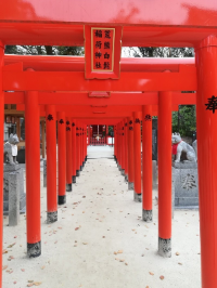 후쿠오카 여행 후쿠오카 스미요시 신사