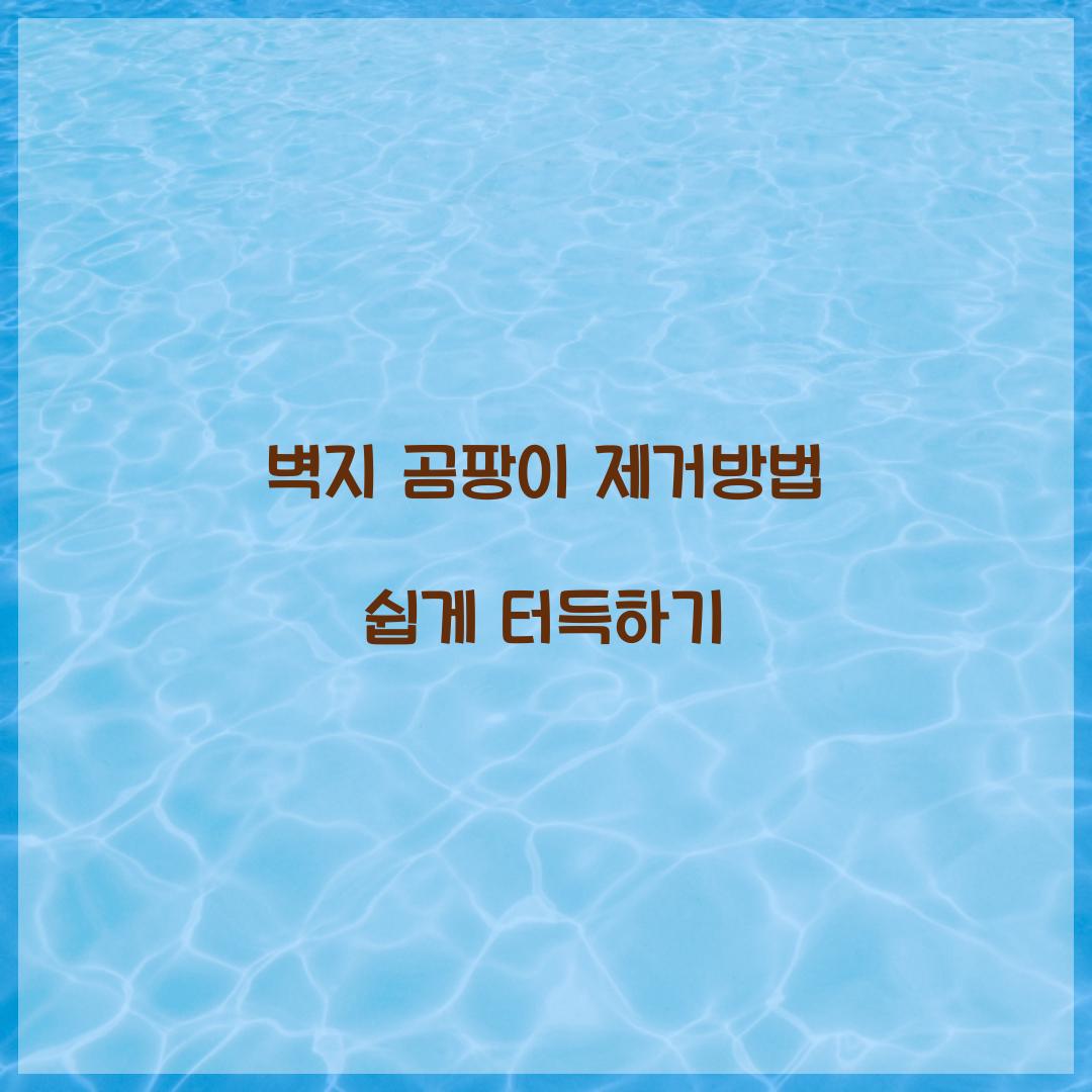 벽지 곰팡이 제거방법