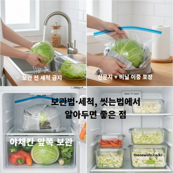 양배추 보관과 세척, 씻는법에서 알아두면 좋은 점 &ndash; 보관 전 세척 금지, 신문지와 비닐 이중 포장, 야채칸 앞쪽 보관의 중요성을 단계별로 보여주는 이미지.