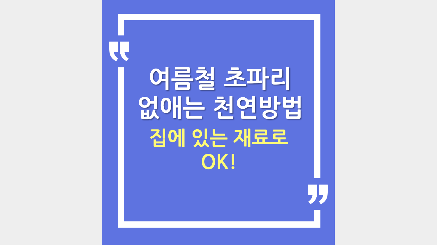 여름철 초파리 없애는 천연방법