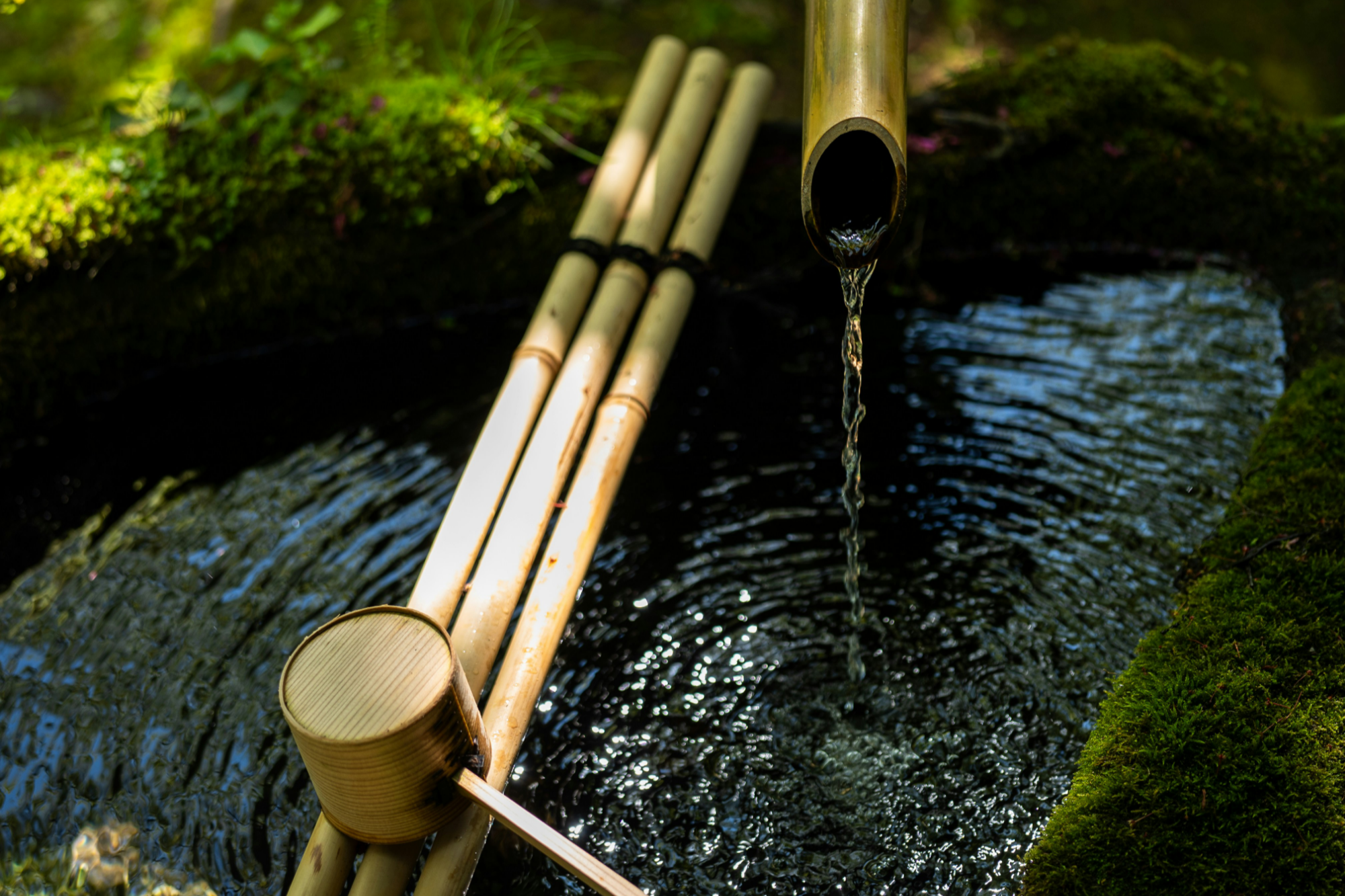 &copy; Kouji Tsuru, Unsplash