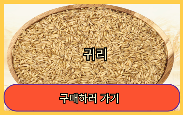 혈당 GI 지수 낮은 당뇨에 좋은 음식 쌀