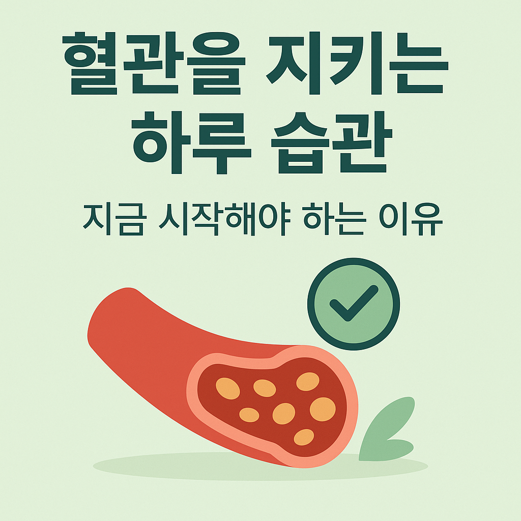 혈관을 지키는 하루 습관 : 지금 시작해야 하는 이유