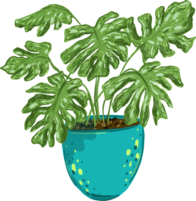 민생회복지원금 소비쿠폰 이의 신청 절차