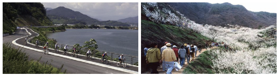광양 남도대교~섬진교 자전거길