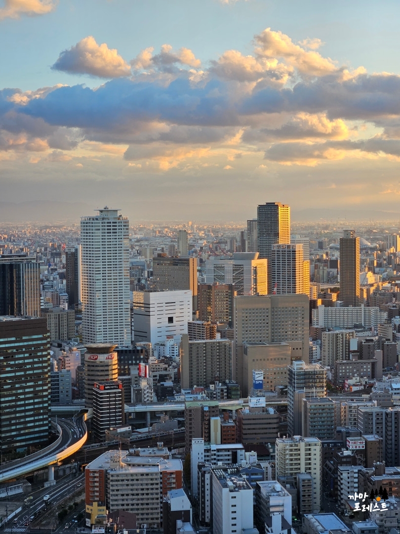 오사카 우메다 공중정원 일몰