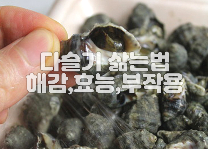 사람손이 다슬기를 잡고 있다