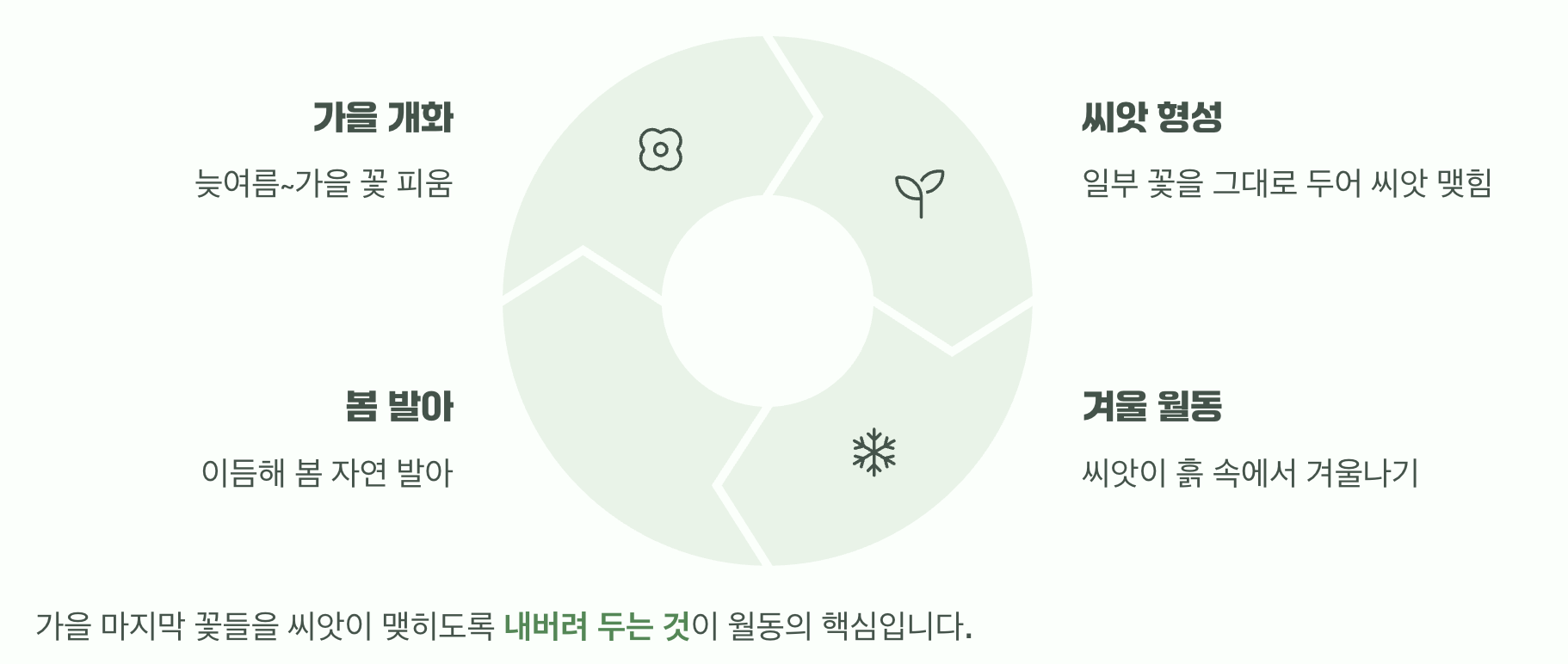 월동의 비밀, 씨앗에 있다