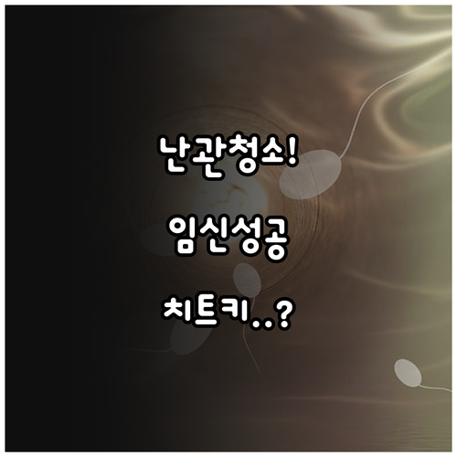 난관조영술 세척 효과로 난관 정화하고..