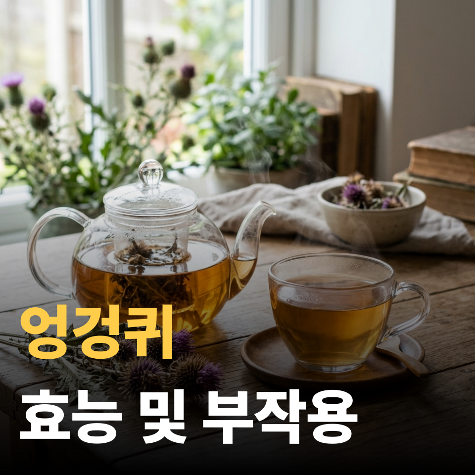 엉겅퀴 효능 및 부작용 총정리