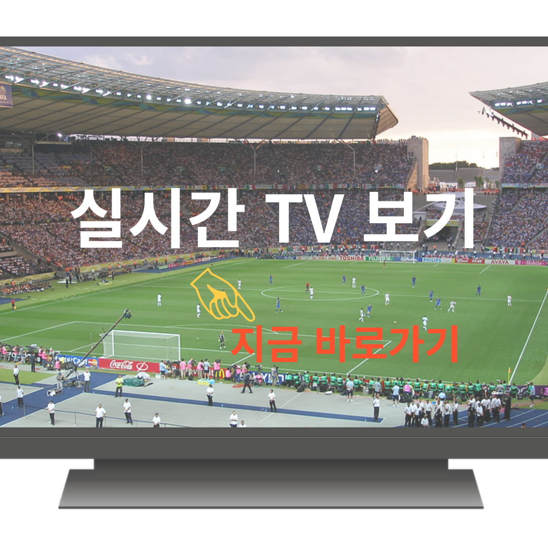 실시간 tv 무료 보기
