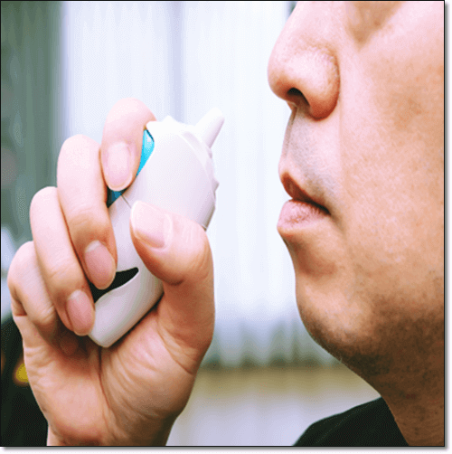 백리향 항염 효과