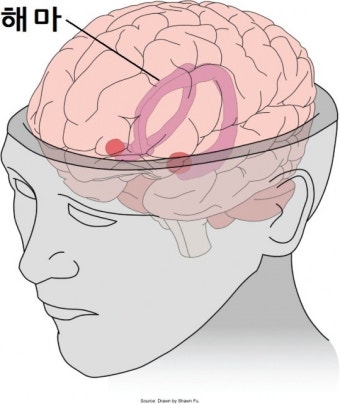해마라고 불리는 뇌의 부위
