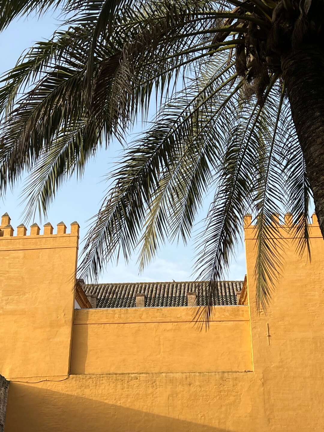 스페인 세비야 알카사르