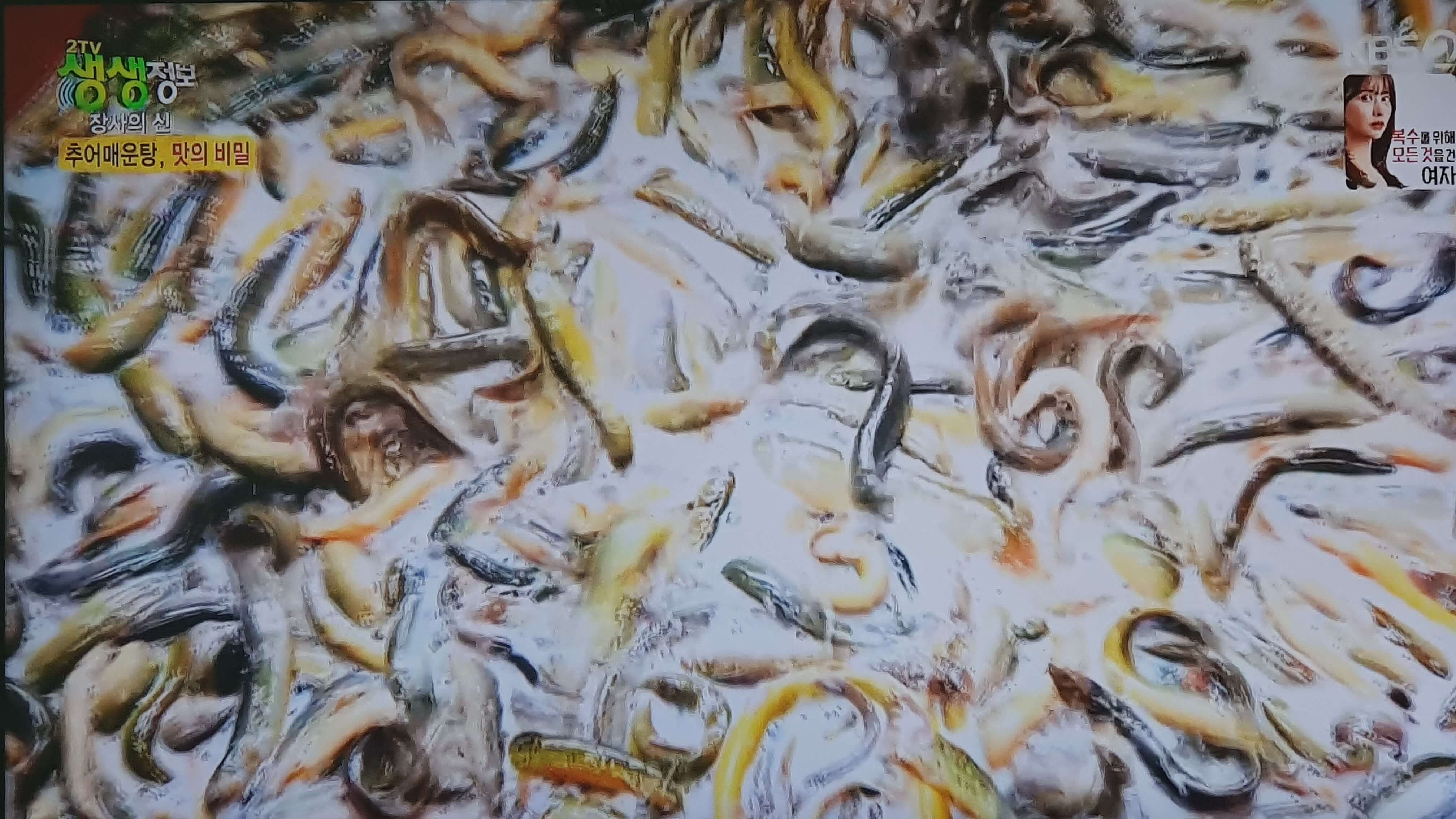 생생 정보통 맛집 맛의 비결