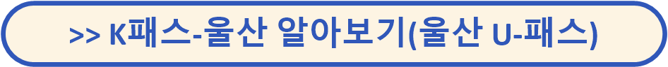 K패스 교통카드