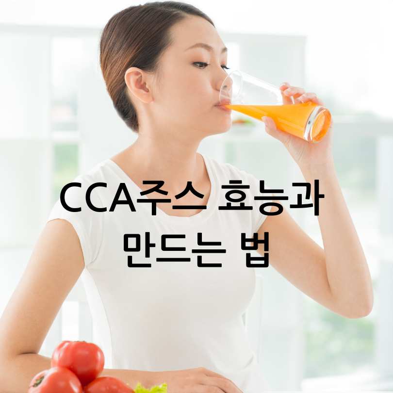 CCA주스 효능과 만드는 법