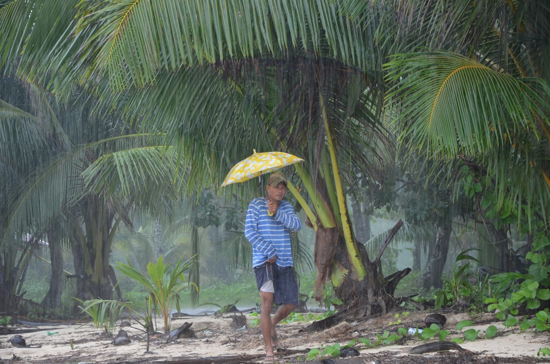 Yellow Umbrella