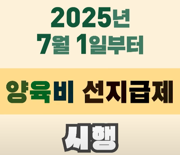 양육비 선지급제 2025년 7월 1일부터 시행