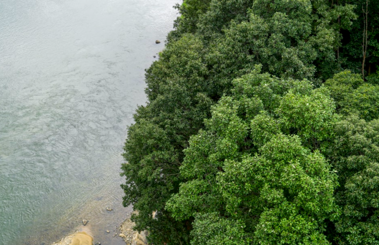 포천 Y자 출렁다리