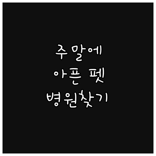 주말에 아픈 반려동물, 일요일 동물병