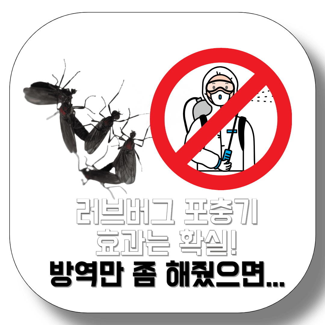 러브버그-포충기-효과는-확실-방역은-왜-안-할까요?-썸네일